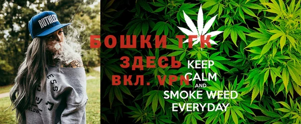 меф Новодвинск