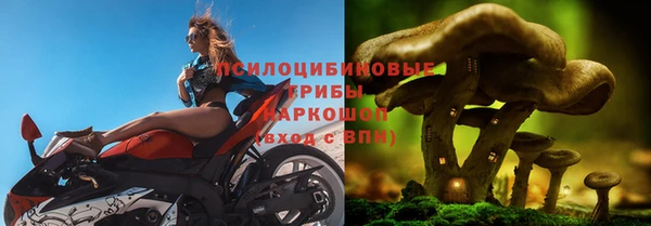 Альфа ПВП Новокубанск