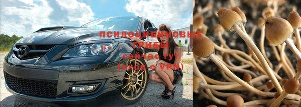 дурь Нефтегорск