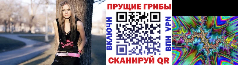 Псилоцибиновые грибы GOLDEN TEACHER  Калининск 